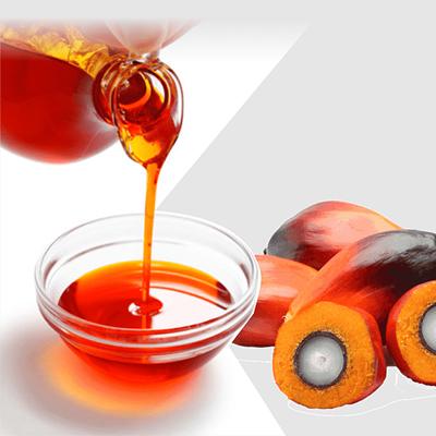 Oils (Palm Oil, Groundnut Oil)